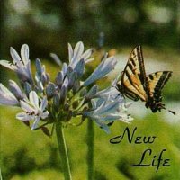 New Life